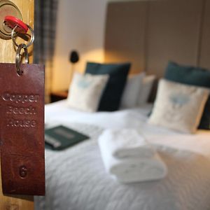 King Room Mountain View